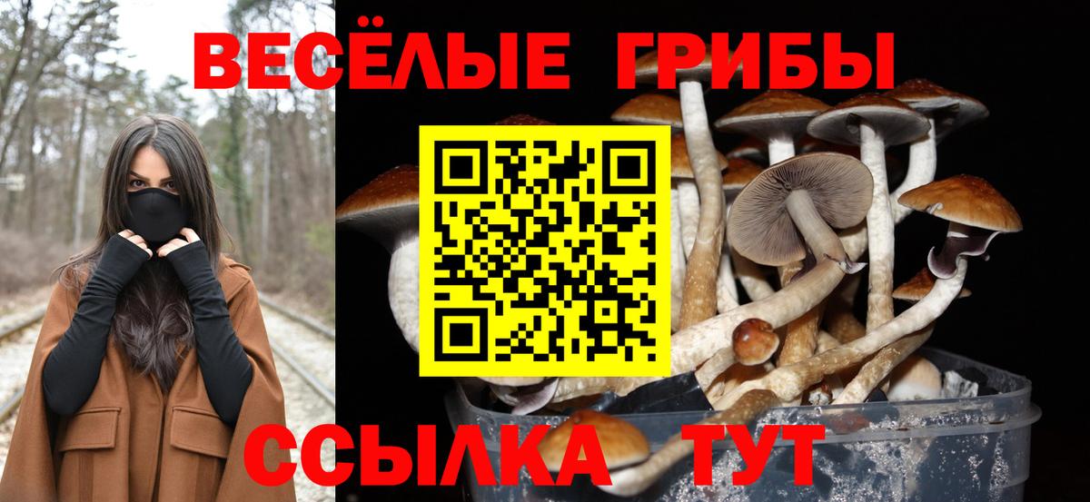 Псилоцибиновые грибы Magic Shrooms Минусинск