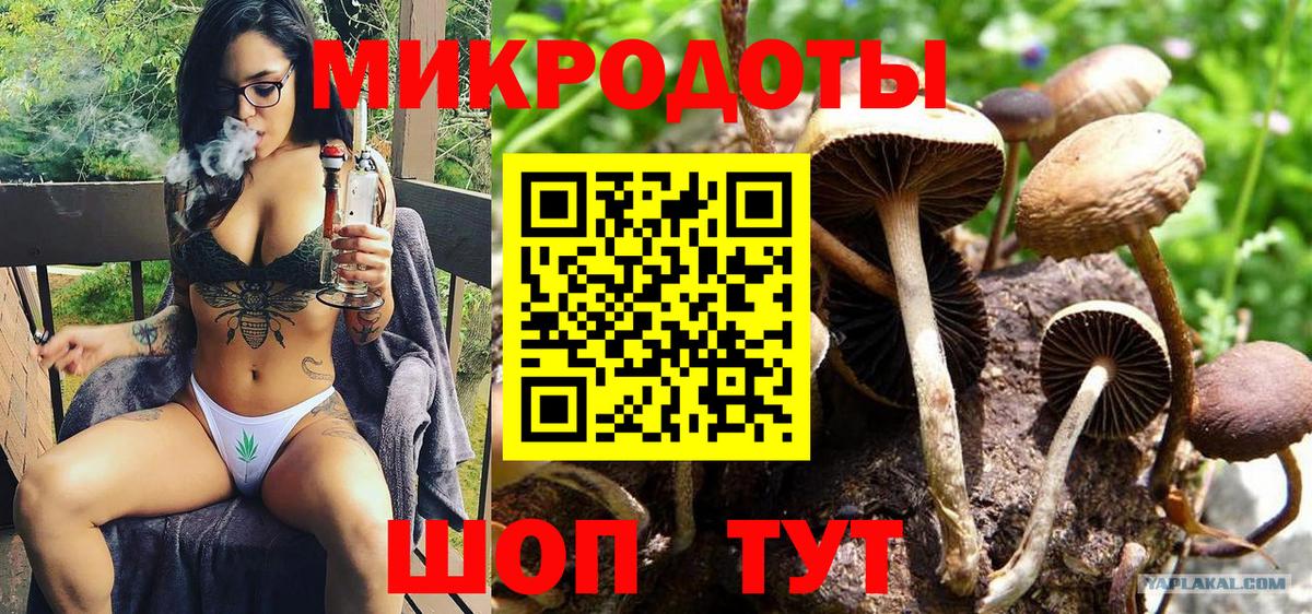 Минусинск  Галлюциногенные грибы GOLDEN TEACHER  Вход с VPN 